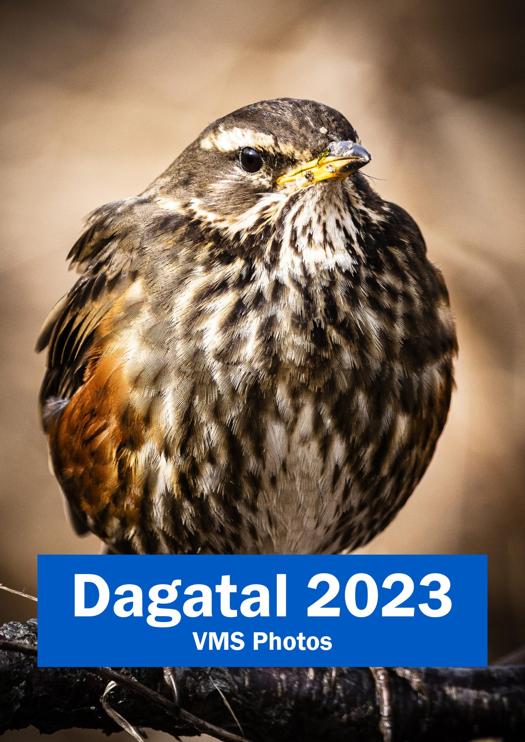 Dagatal 2023